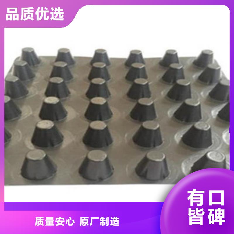 会东塑料排水板-虹吸滤水板排水板一个起售