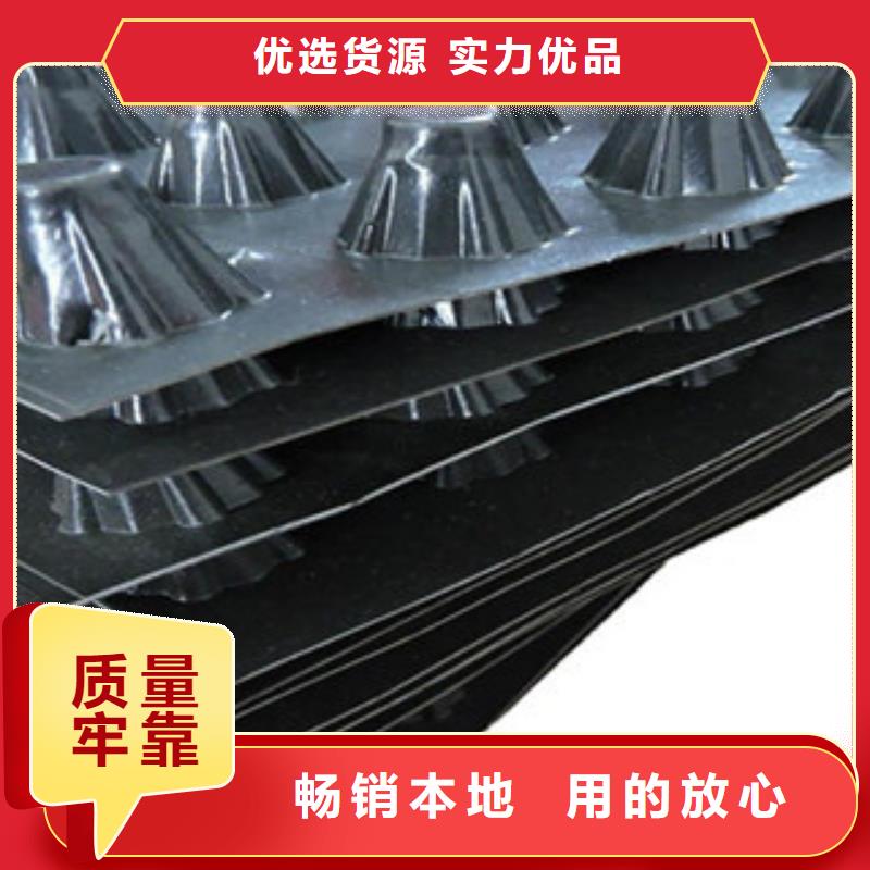 塑料排水板,玻纤土工格栅真材实料加工定制精心选材