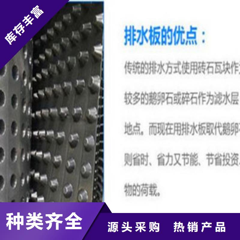 大东塑料排水板-排水板疏水板滤水板实力才是硬道理