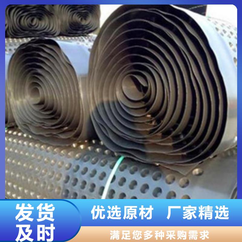 塑料排水板蓄水板滤水板保障产品质量工艺精细质保长久