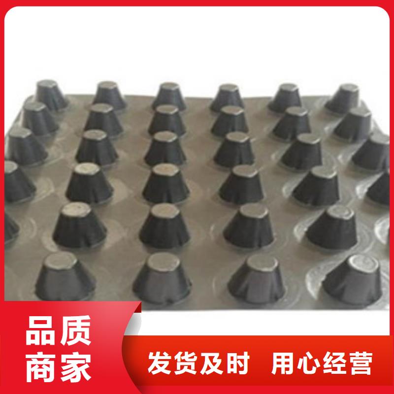 【塑料排水板三维植被网现货齐全售后无忧】精品优选