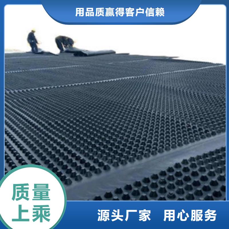 凤台塑料排水板排蓄水板土工布精工打造