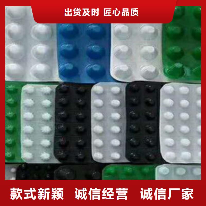 竹溪塑料排水板绿色HDPE蓄排水防水保护板精益求精