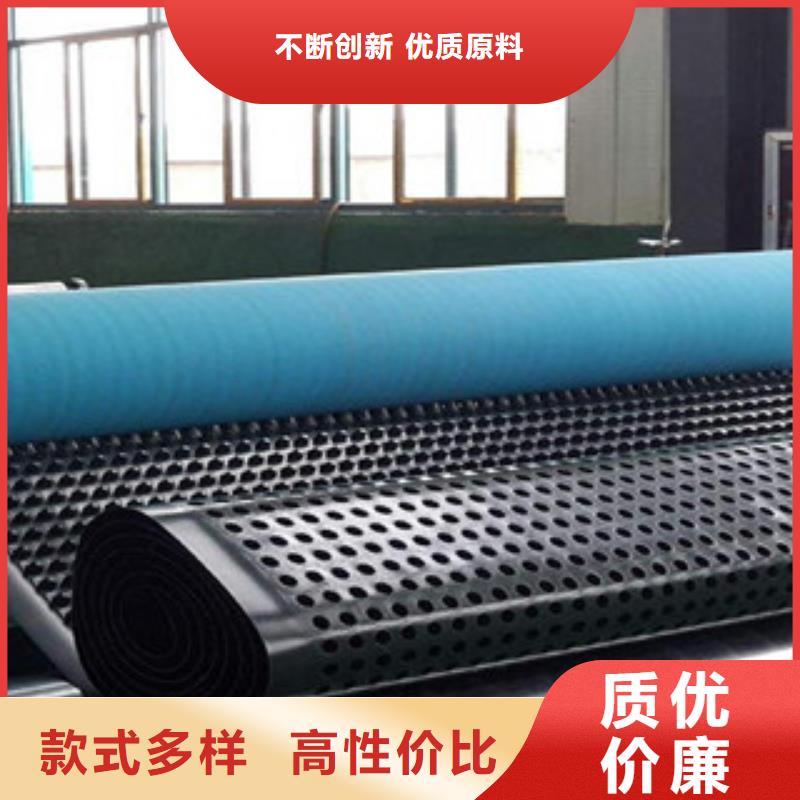 塑料排水板 塑料土工格栅有口皆碑专业信赖厂家
