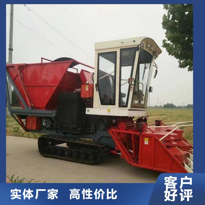 日照青储机_罗威纳犬卓越品质保障