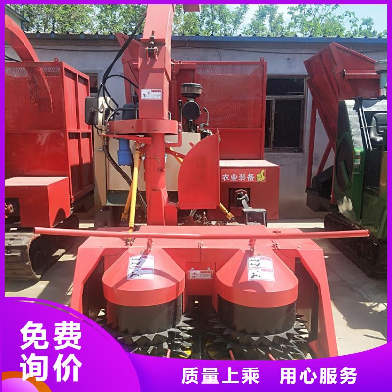 云浮青储机德牧犬实力商家供货稳定