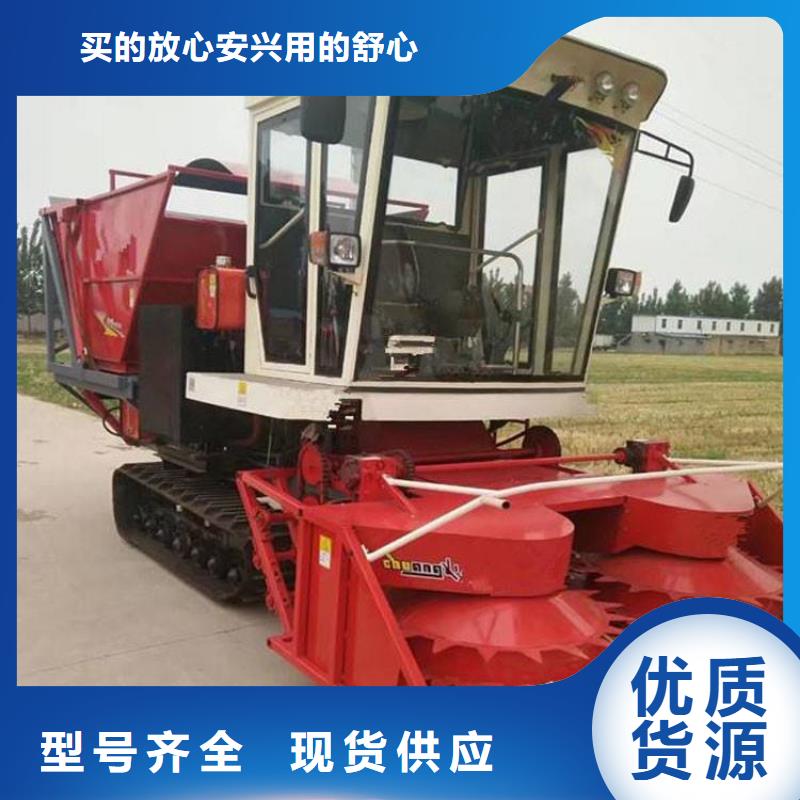 湖北青储机罗威纳犬多种场景适用