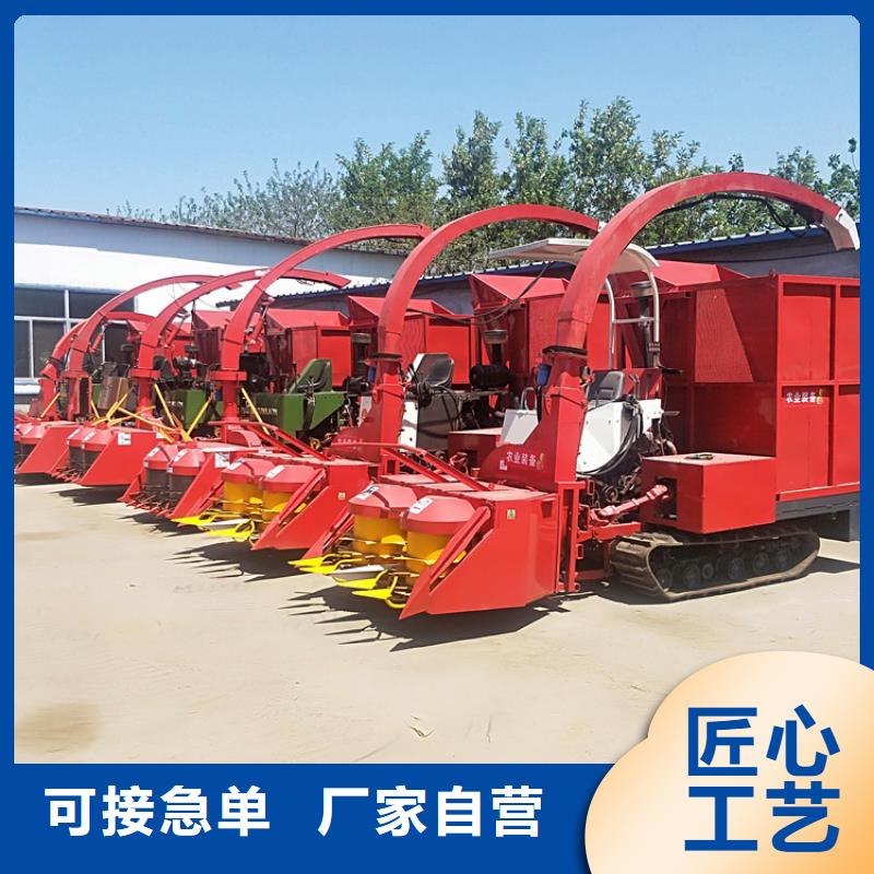 怀化青储机 德牧犬安心购