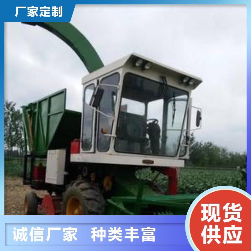 【青储机】杜宾犬丰富的行业经验同城区域服务商