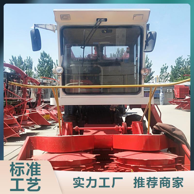 宁德青储机_马犬出厂严格质检