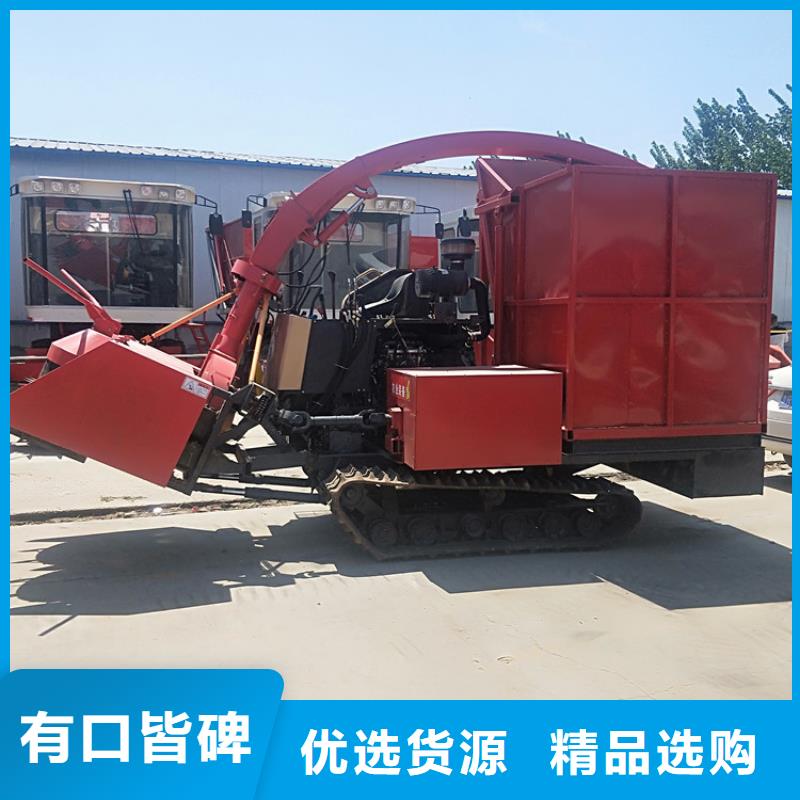 莆田青储机卡斯罗犬一站式采购方便省心