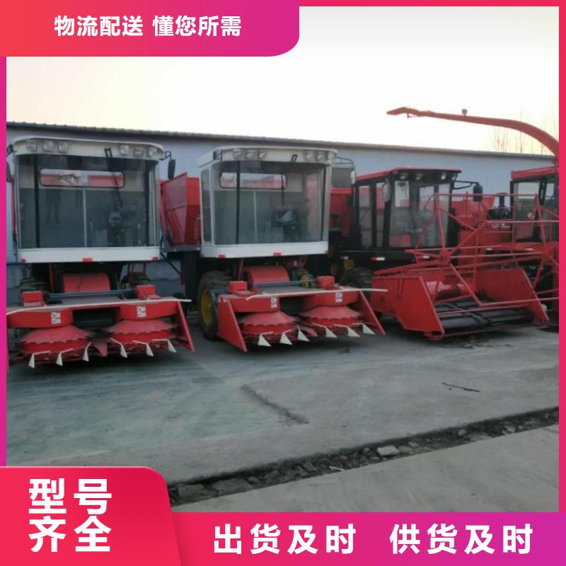 青储机 德牧犬产品优良供应商