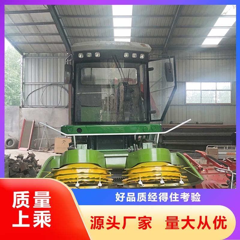 齐齐哈尔青储机卡斯罗犬高品质现货销售