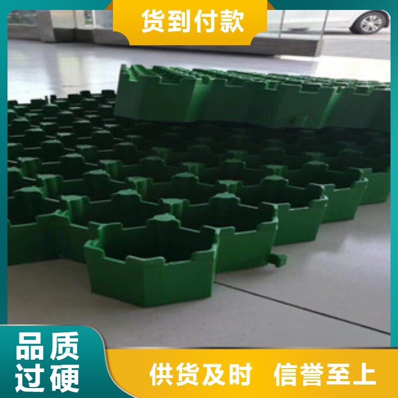 环保植草格-植草格厂家生产安装欢迎来电询价