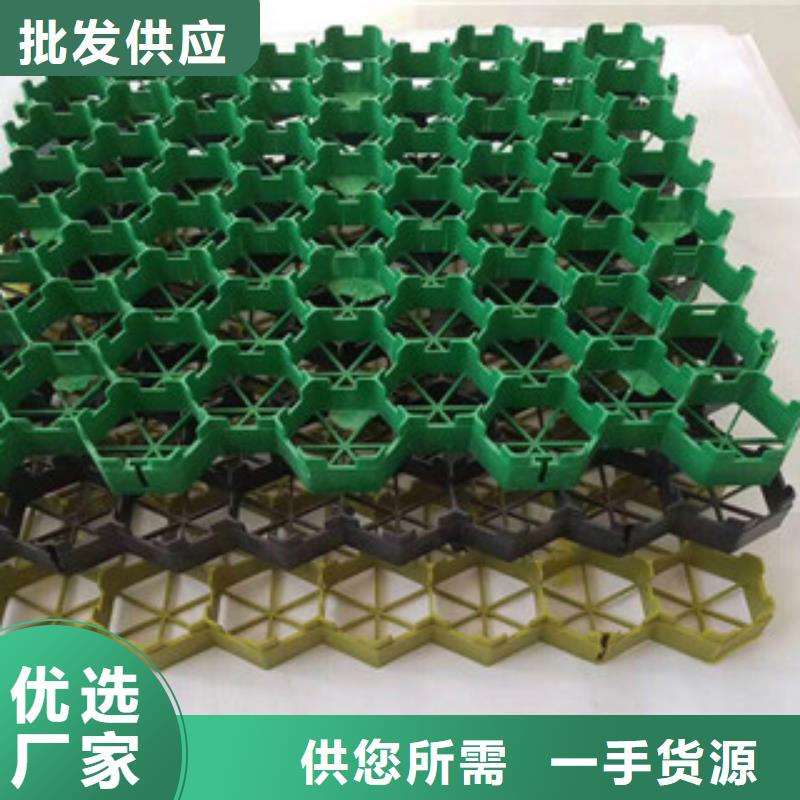 【环保植草格】-生态袋厂家真实拍摄品质可靠质保一年