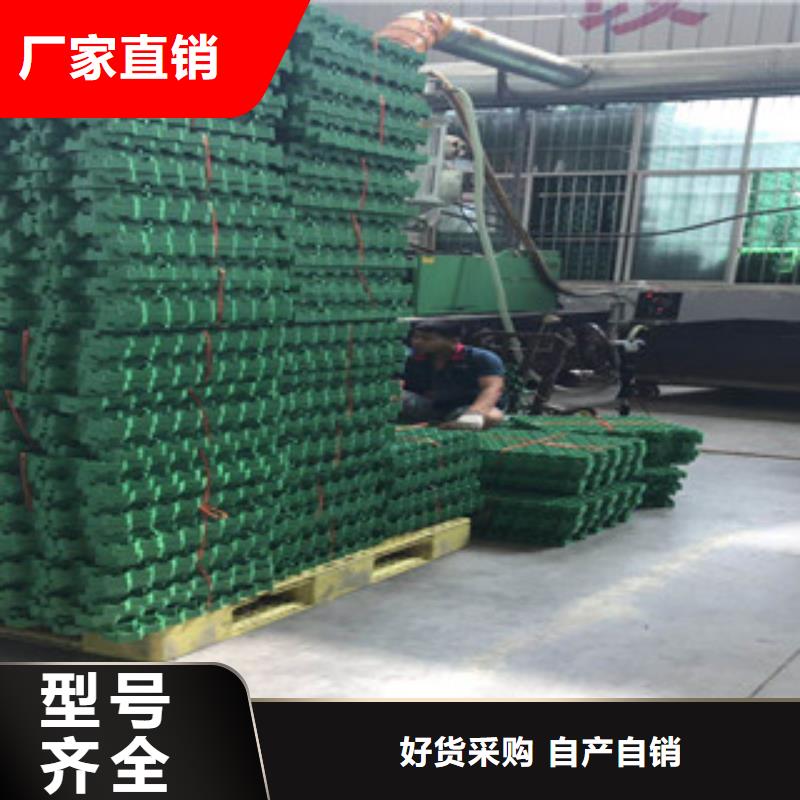 环保植草格膨润土防水毯厂家生产经验丰富同城区域服务商