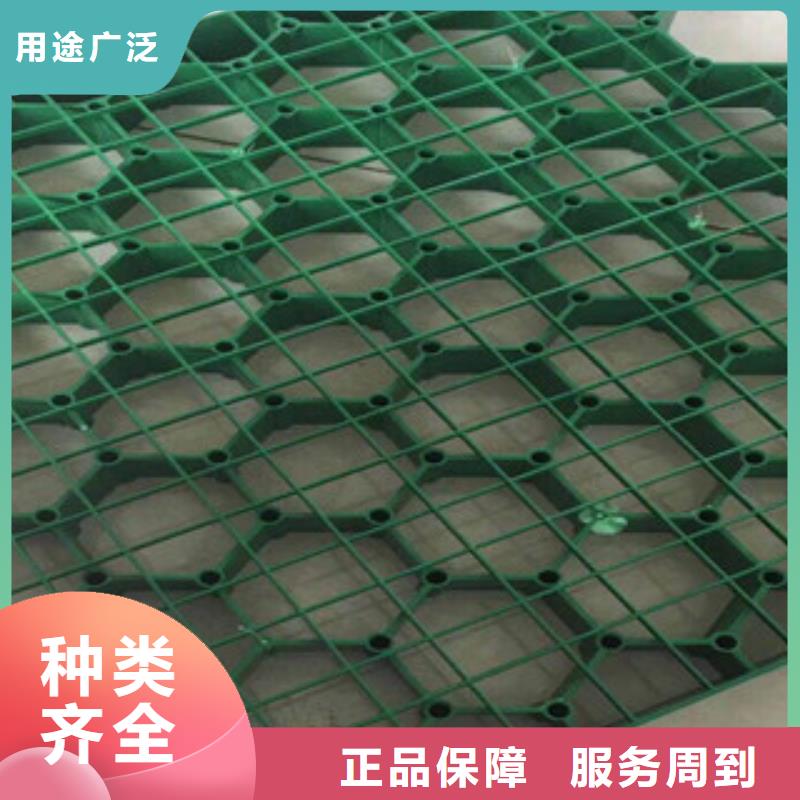 环保植草格-膨润土防水毯厂家现货充足您想要的我们都有