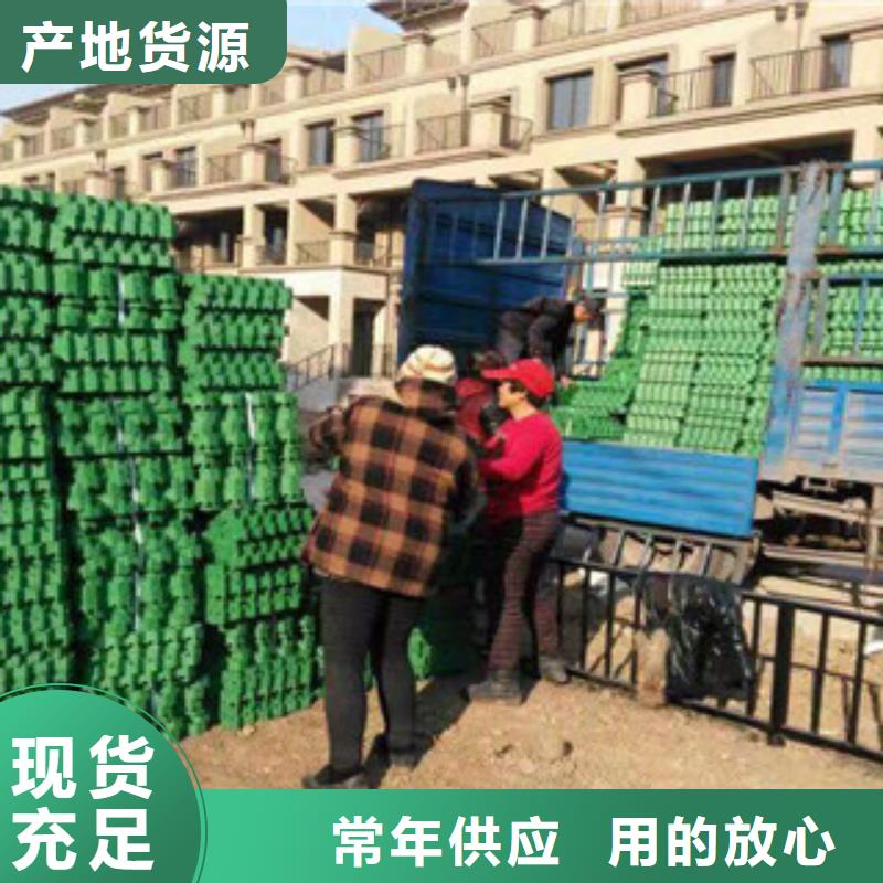 【环保植草格】膨润土防水毯厂家服务始终如一源头工厂量大优惠