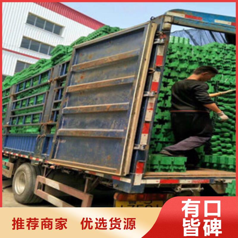 环保植草格 土工布厂家多种场景适用定制零售批发
