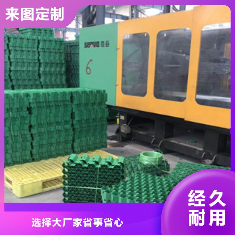 环保植草格,土工膜厂家好货有保障本地区生产厂家