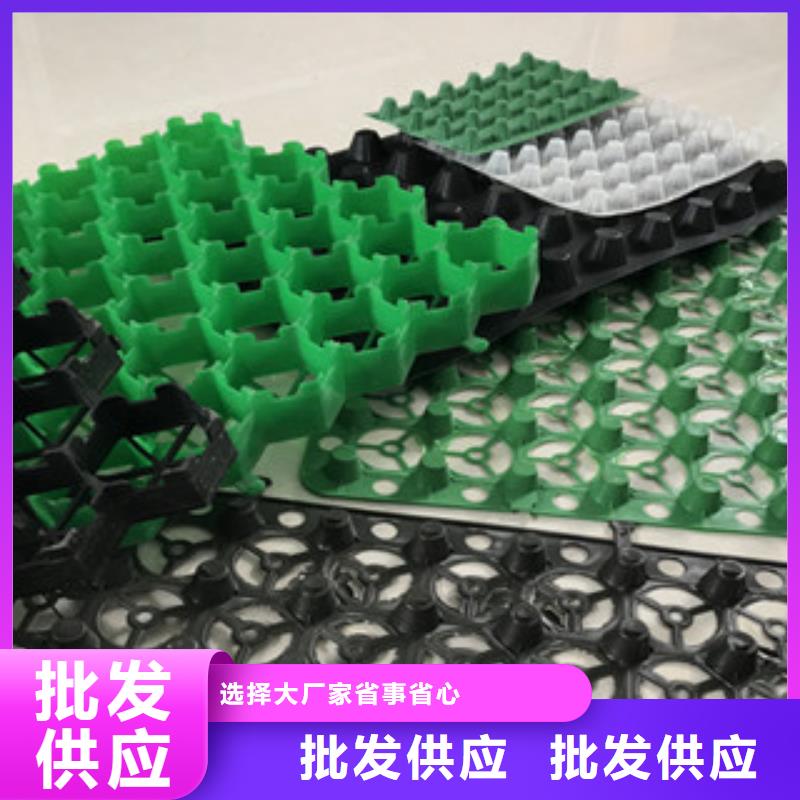 塑料排水板,蓄排水板厂家诚信可靠欢迎新老客户垂询