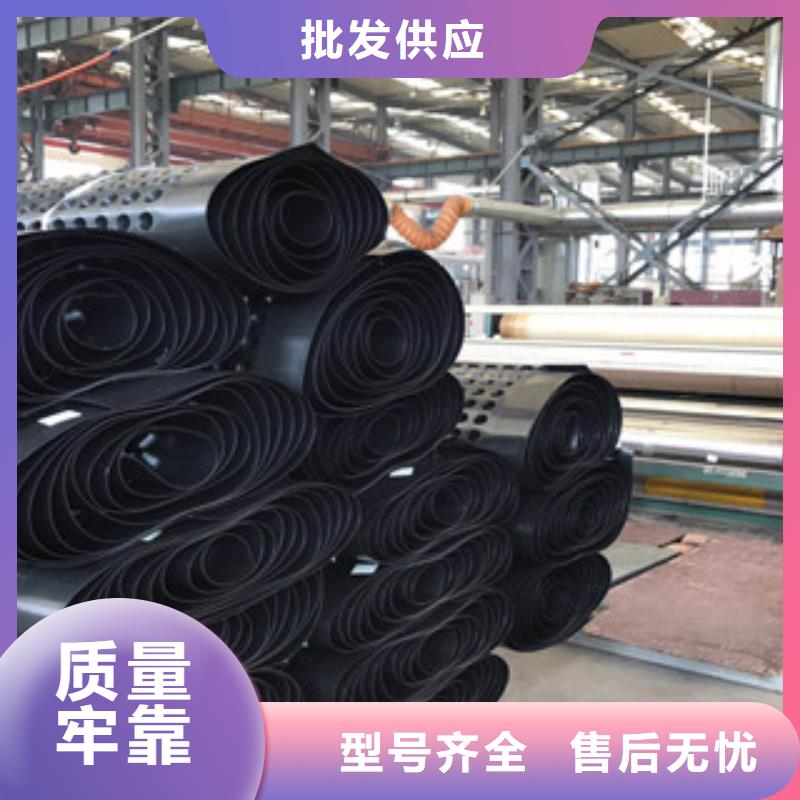 塑料排水板排水板厂家重信誉厂家周边经销商