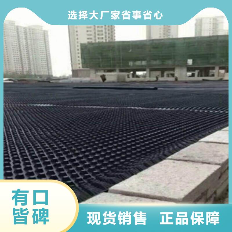 塑料排水板,土工膜厂家贴心服务按需定制