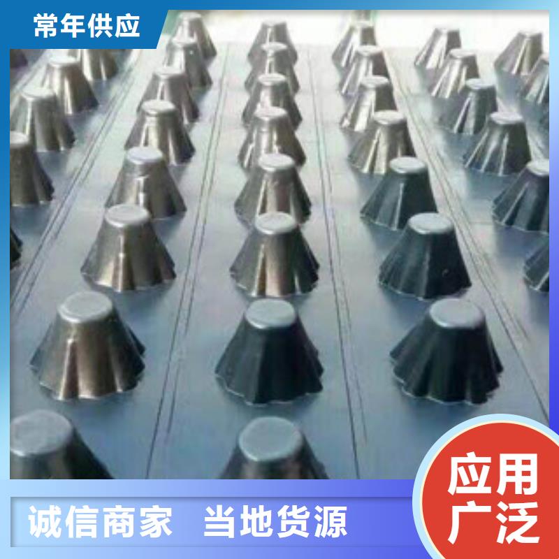 随州塑料排水板-蓄排水板厂家质量牢靠