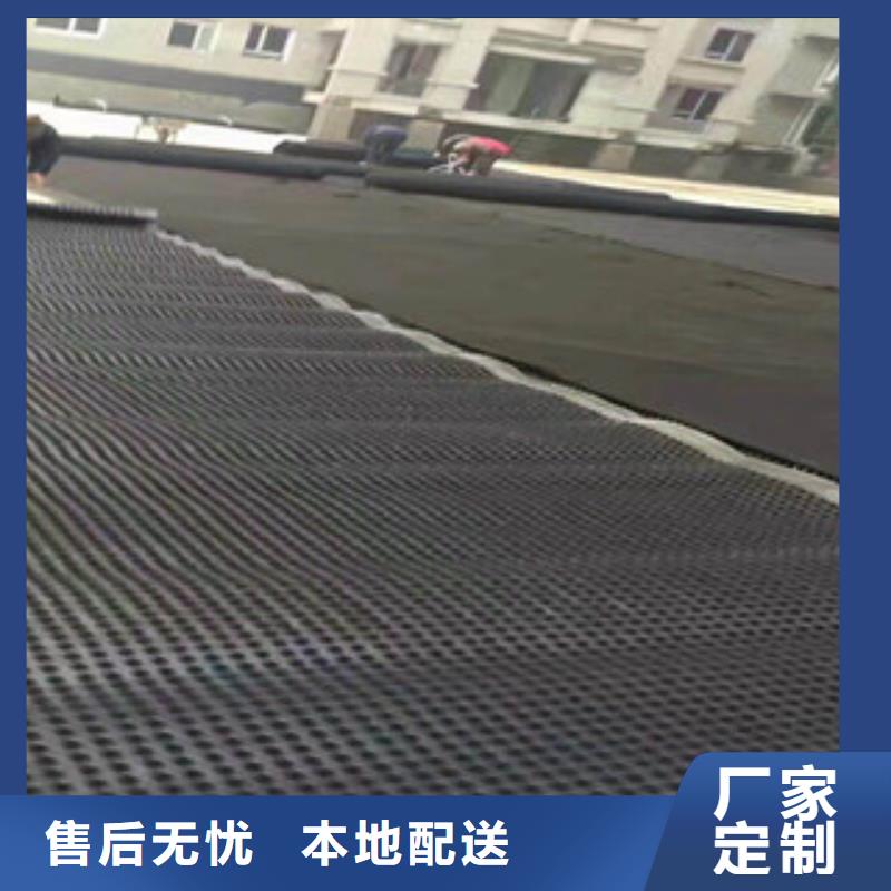 天水塑料排水板_生态袋厂家精工细作品质优良