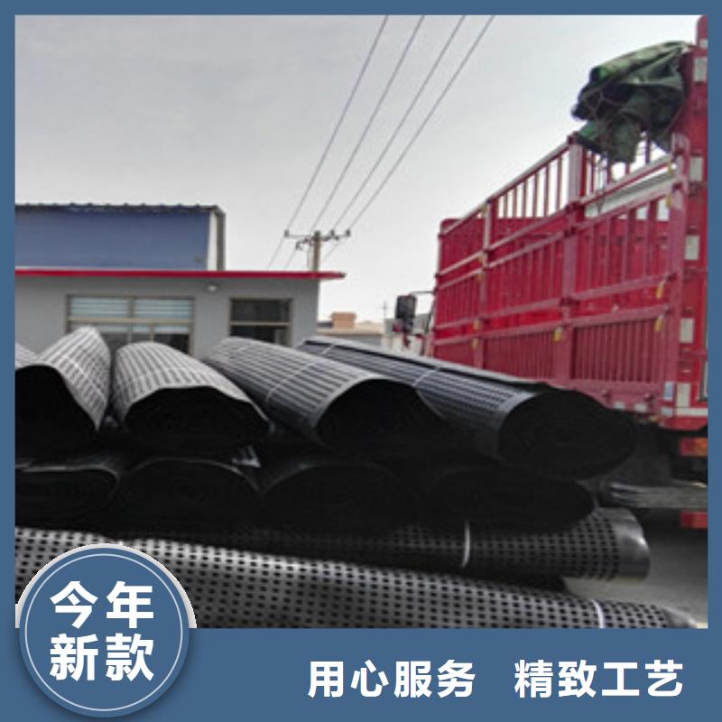 廊坊塑料排水板虹吸排水板厂家满足多种行业需求