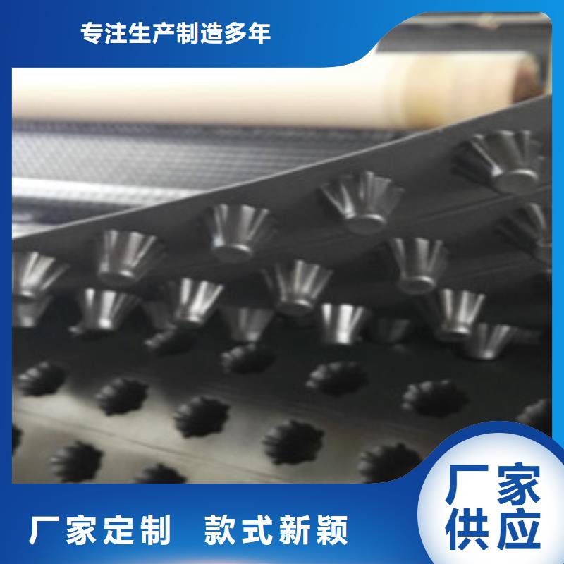 塑料排水板土工膜厂家打造行业品质生产厂家