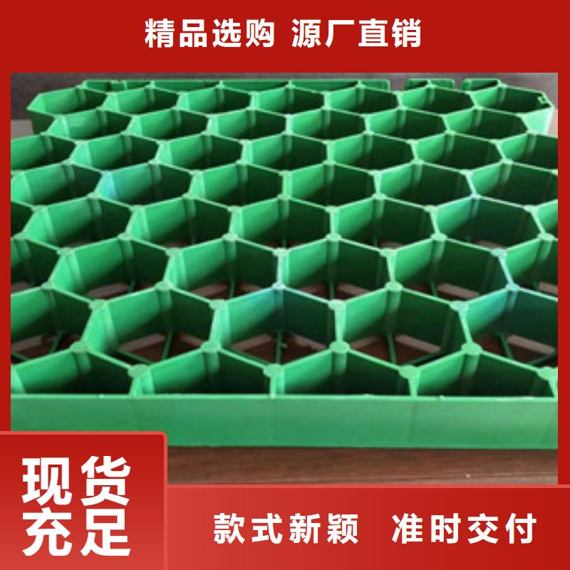 植草格土工布厂家按需定制真材实料当地公司