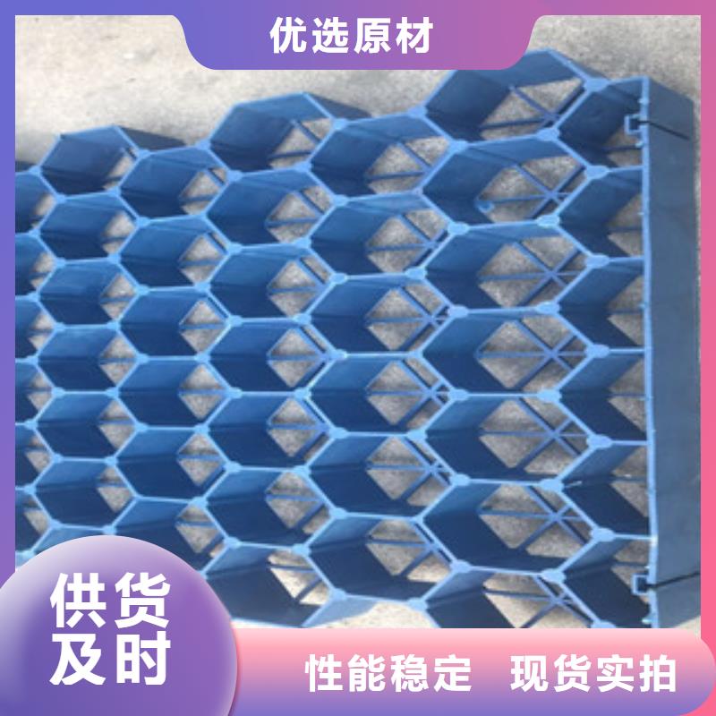 植草格-【土工膜厂家】追求细节品质专业生产品质保证