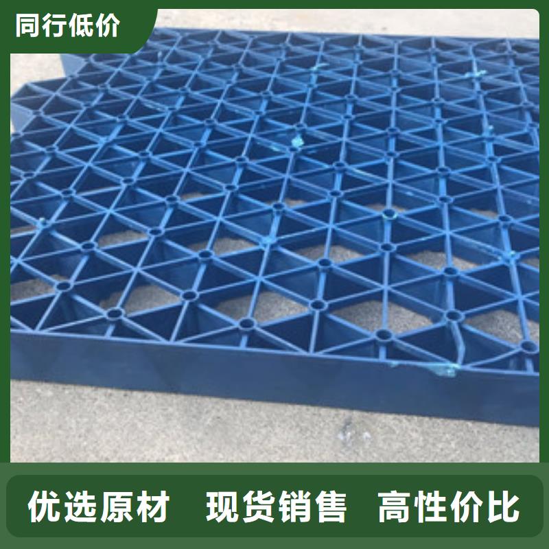 植草格 【虹吸排水板厂家】一站式采购本地服务商