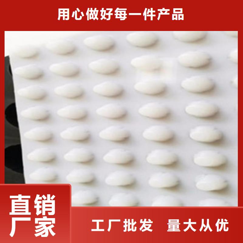 乌鲁木齐排水板 土工布厂家追求细节品质