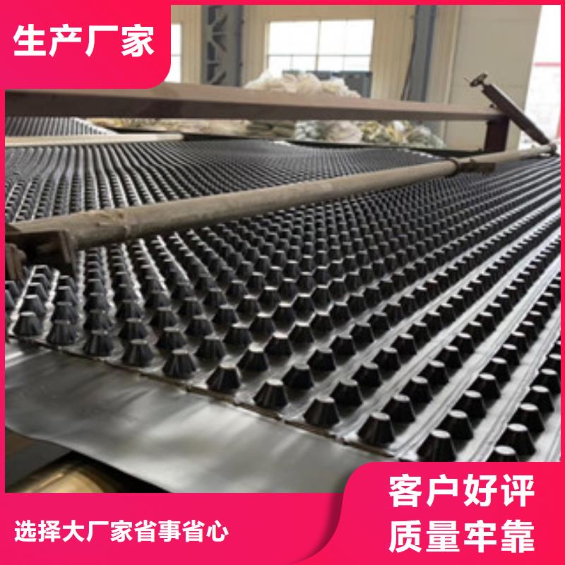 伊犁排水板无纺布厂家支持定制加工