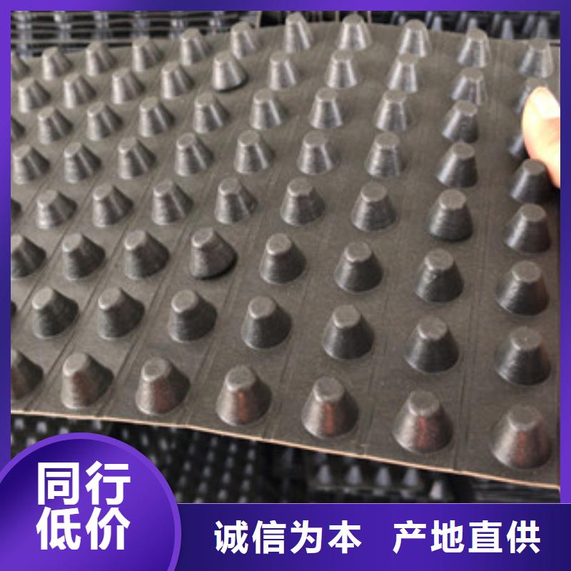 【排水板】土工布厂家交货准时周边生产厂家