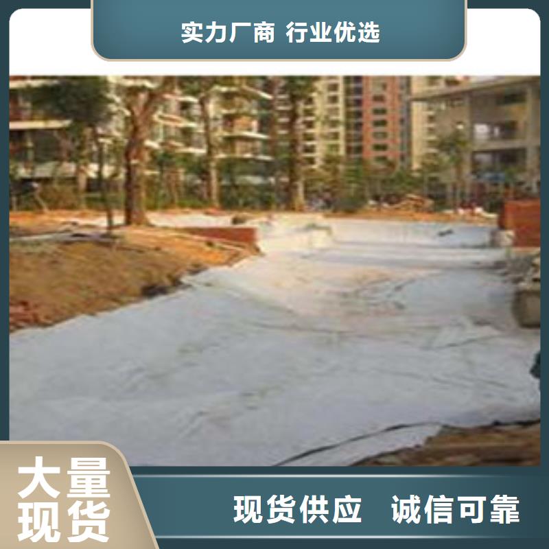 防水毯土工膜厂家货源充足周边公司