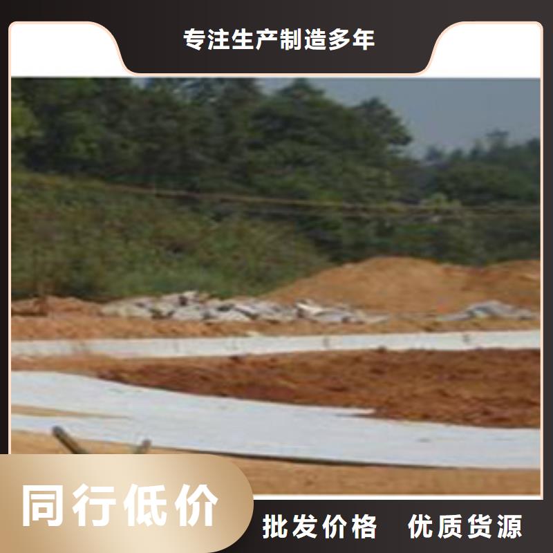 【防水毯 土工布厂家正规厂家】为您提供一站式采购服务