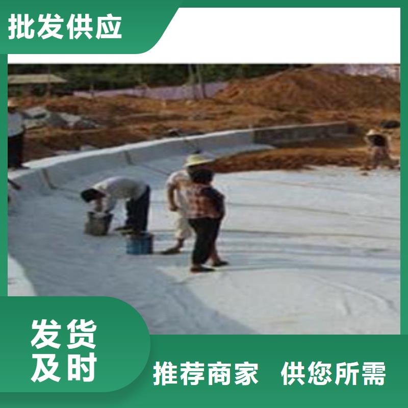 防水毯土工膜厂家诚信经营现货现发用心做好每一件产品