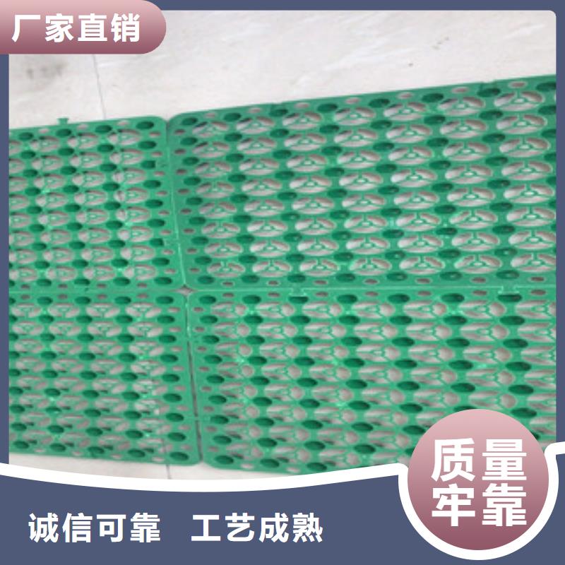 蓄排水板 生态袋厂家精品选购本地货源