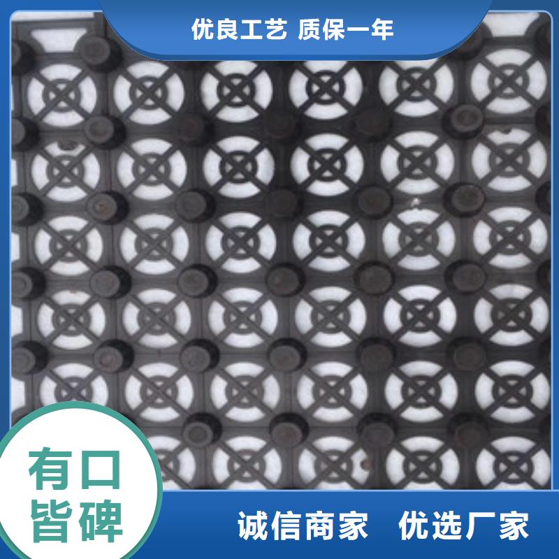 蓄排水板_土工布厂家优选厂家本地范围经销商