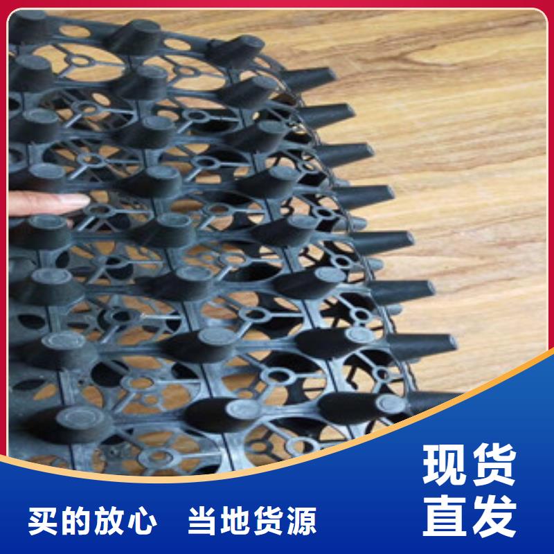 蓄排水板,土工布厂家好货有保障同城区域服务商