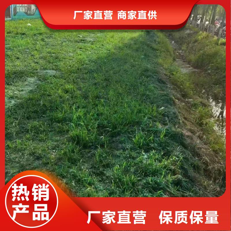 佛山抑尘剂色素厂家直营