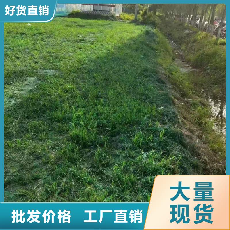 平凉煤炭矿山抑尘剂量大从优