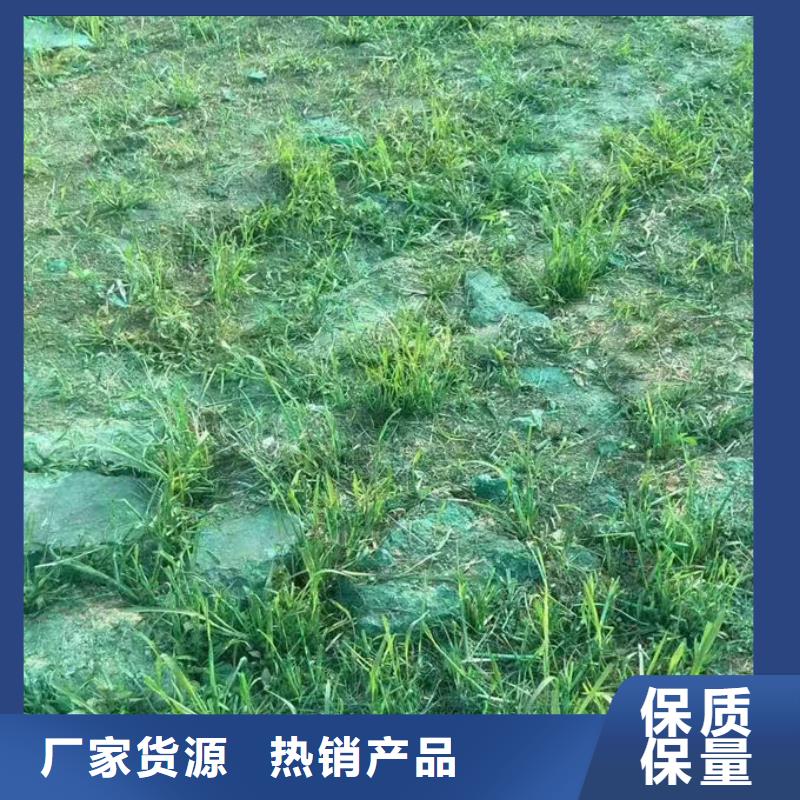 开封绿色结壳抑尘剂量大