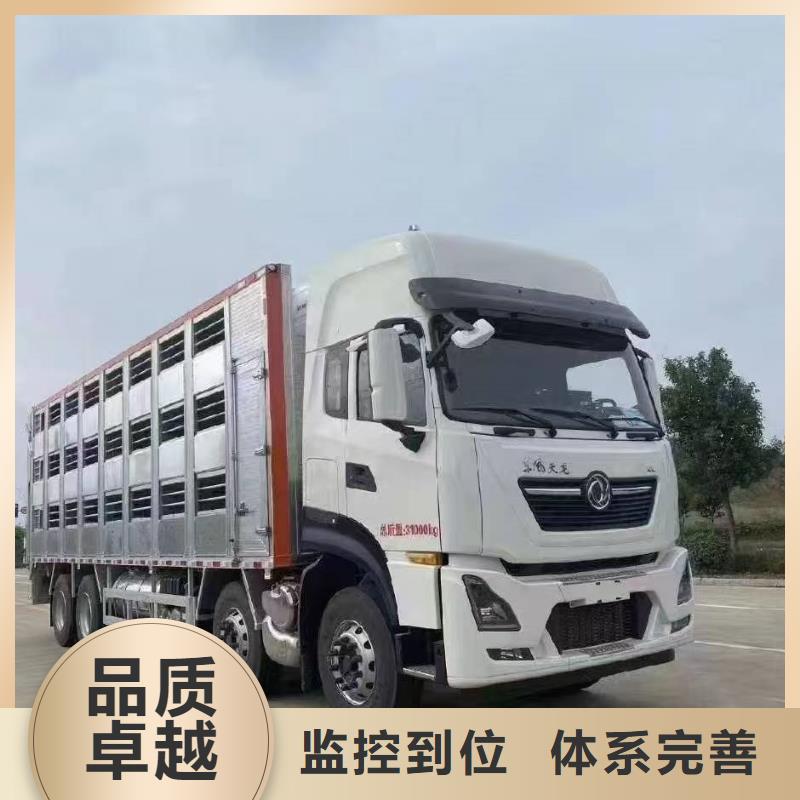 芜湖到北京猪运输经验丰富