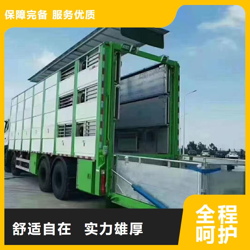 宿州至三明二育运输【快速通关】