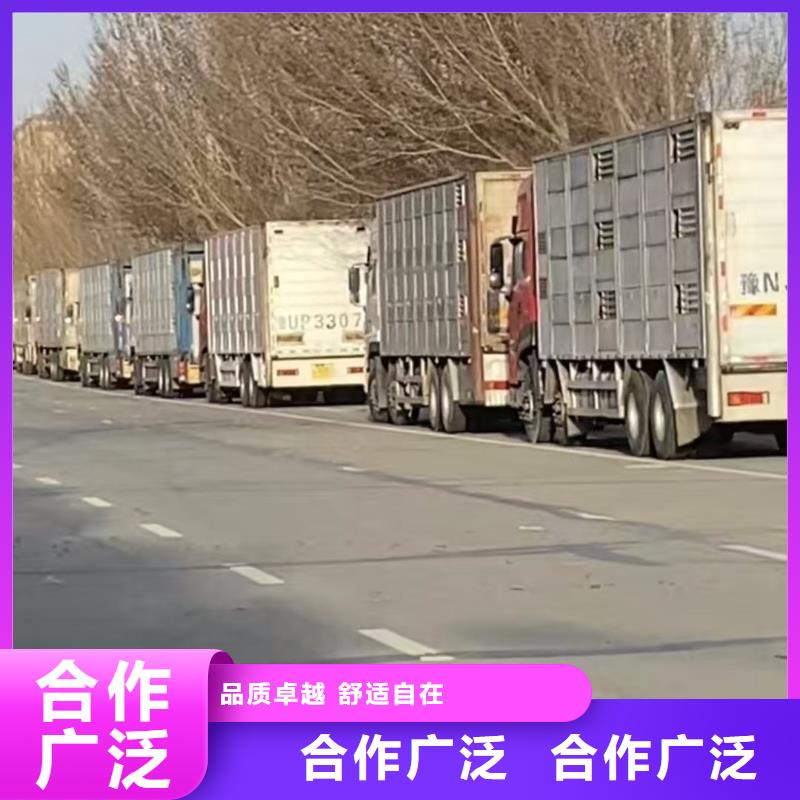 绍兴到齐齐哈尔猪笼车运输管理规范