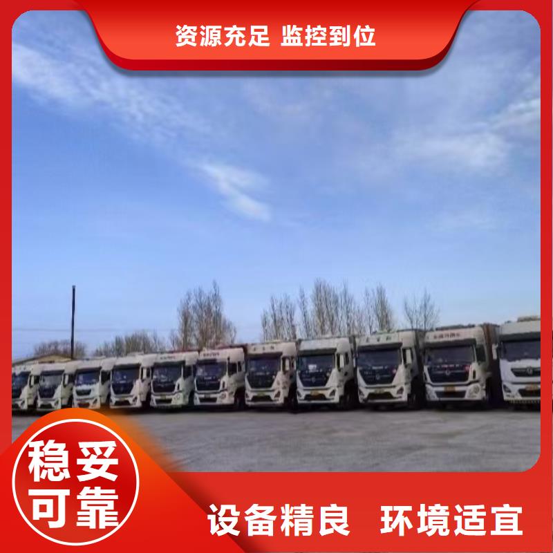 嘉兴到巢湖猪牛羊运输资质齐全